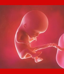 Preparing for the Second Trimester at 12 Weeks Pregnant